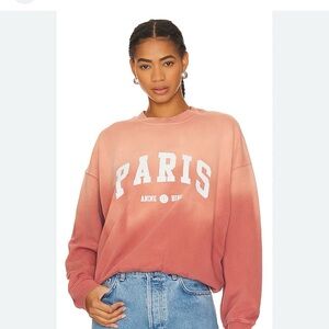 Anine Bing Paris Graphic Sweatshirt in Coral